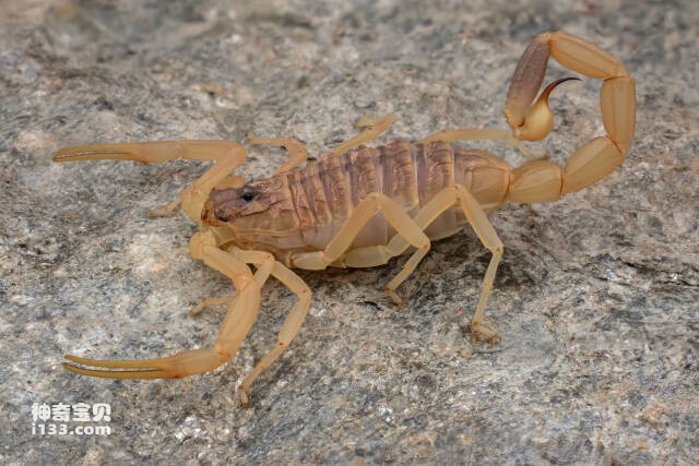 2023061516128156.jpg 5.jpg