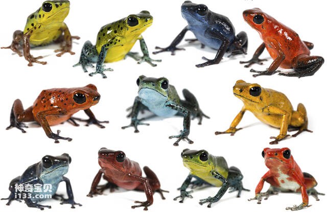 2023061520922266.jpg 1010.jpg