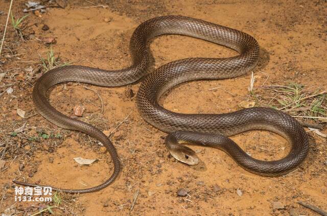 2023061548229358.jpg 7.jpg