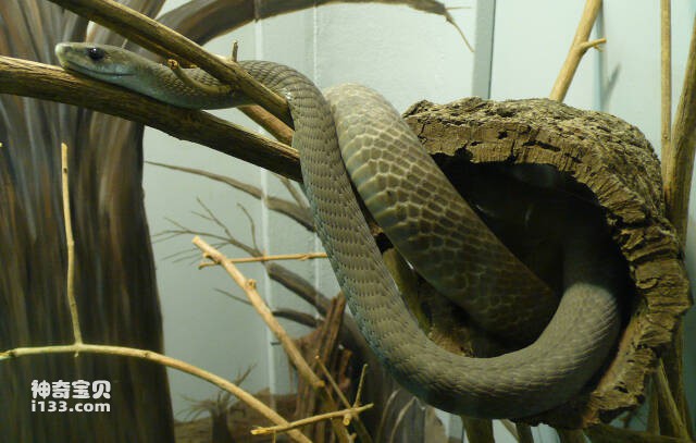 2023061568384735.jpg 9.jpg