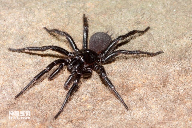 2023061586112458.jpg 6.jpg