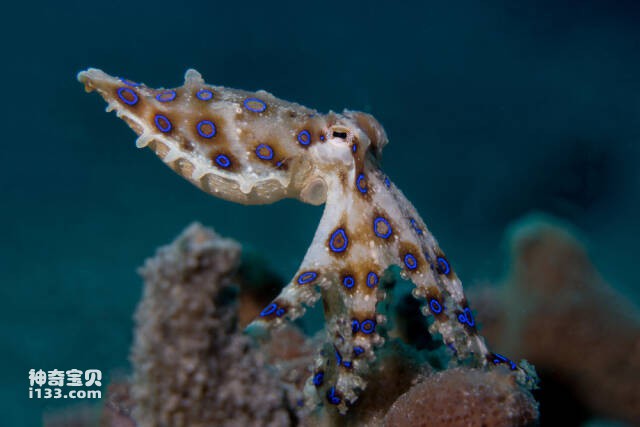 2023061597093293.jpg 3.jpg