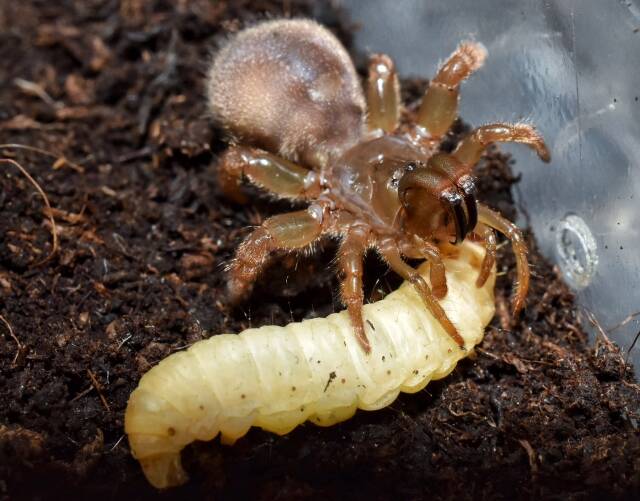 2023061611603948.jpeg 1010(1).jpeg