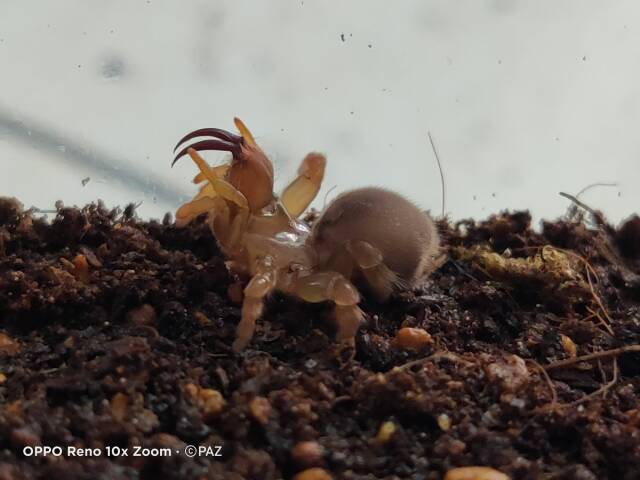 2023061620097228.jpeg 10(1).jpeg