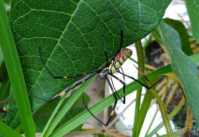 2023061682308601.jpeg 88(1).jpeg