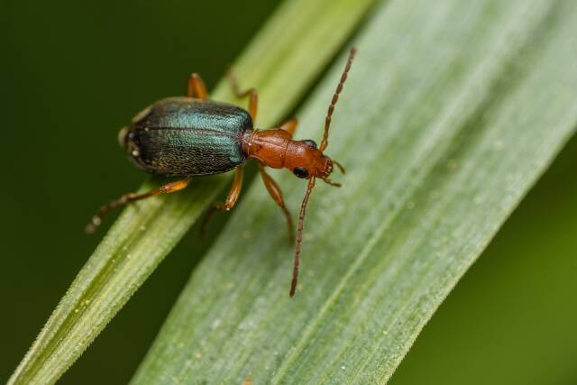 2023061719643892.jpeg 10(1).jpeg