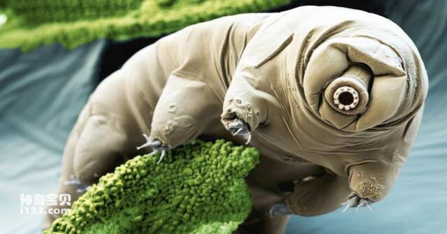 2023061755171403.jpg 4(1).jpg