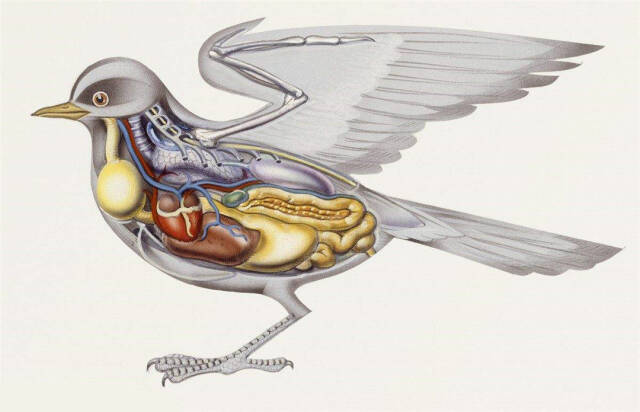 2023061911879032.jpeg 6(1).jpeg