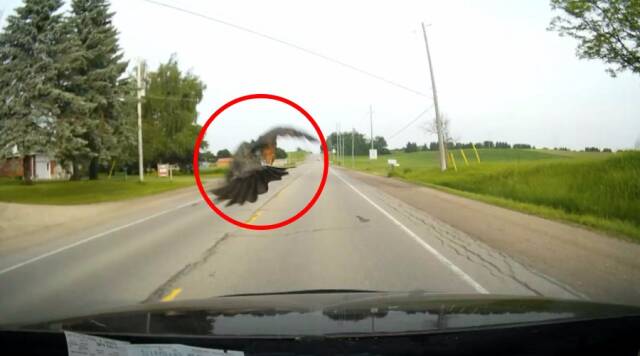 2023061912930196.jpeg 7(1).jpeg