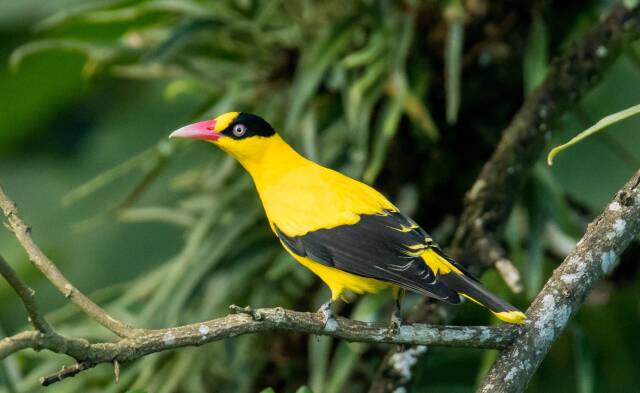 2023061912978537.jpeg 9(1).jpeg