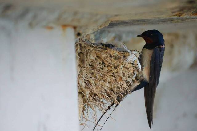 2023061920790205.jpeg 3(1).jpeg