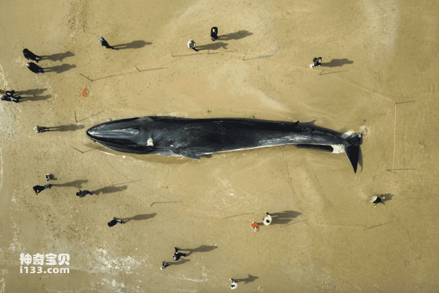 2023062015817464.png 10(1).png