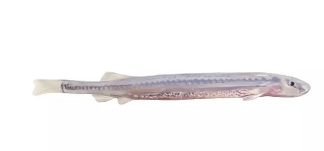 2023062113481607.jpeg 9(1).jpeg