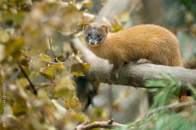 2023062315434403.jpeg 6(1).jpeg