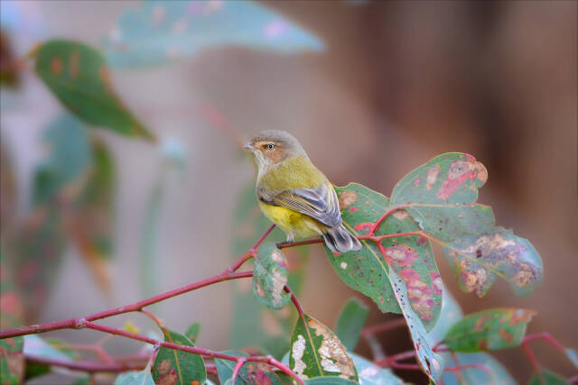 2023062610281114.jpeg 6(1).jpeg