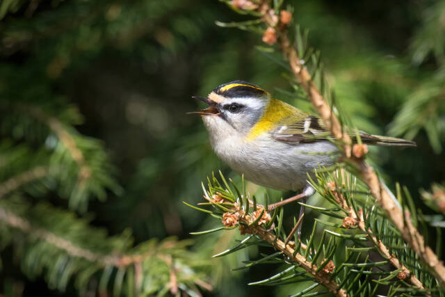 2023062611371622.jpeg 9(1).jpeg