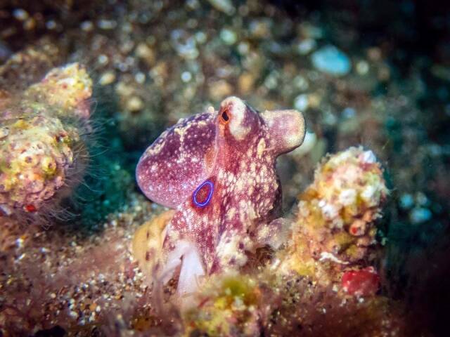 2023062616212042.jpeg 6(1).jpeg