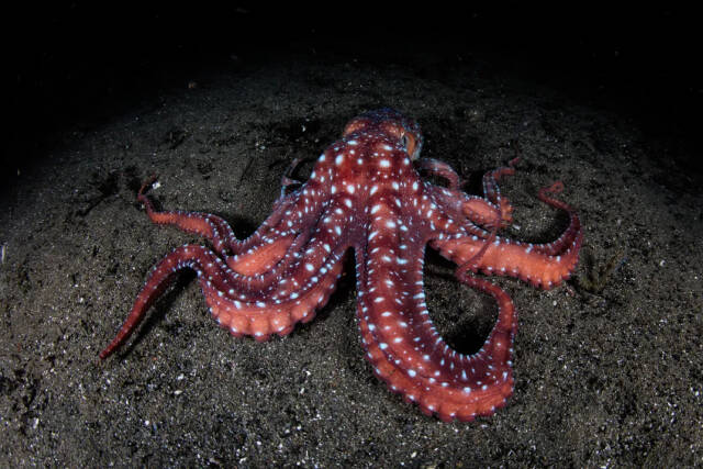 2023062617366864.jpeg 4 上午8.08.20(1).jpeg