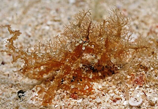 2023062651193510.jpeg 8 上午8.08.20(1).jpeg