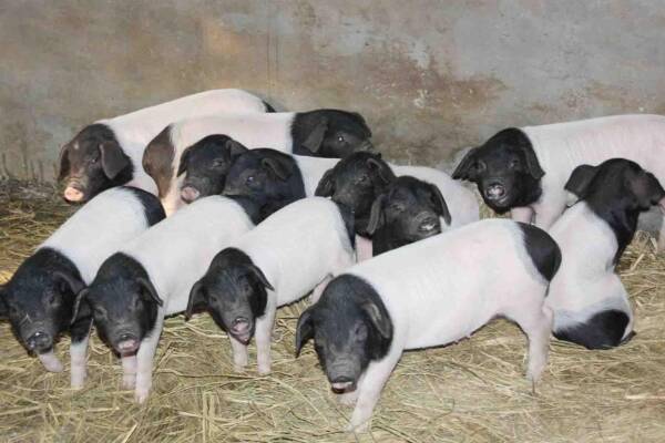 2023082315450856.jpeg 6(1).jpeg