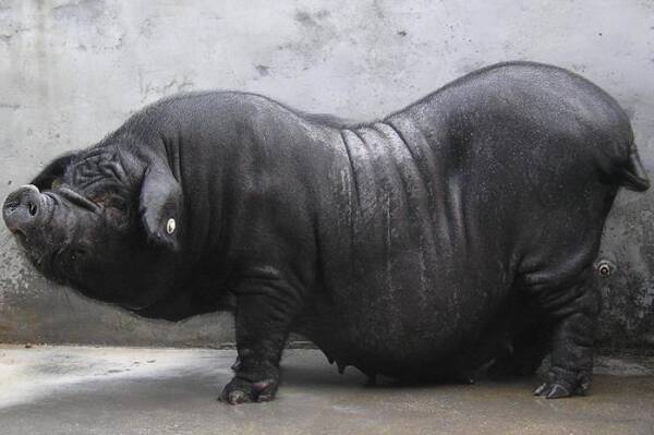 2023082360324250.jpeg 9(1).jpeg