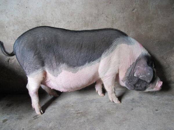 2023082377389858.jpeg 10(1).jpeg