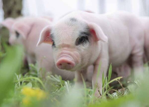 2023082390504160.jpeg 5(1).jpeg