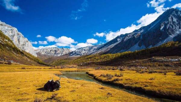 2023082610740267.jpeg 111(1).jpeg