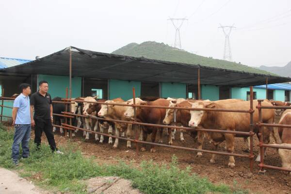 2023082614412794.jpeg 9(1).jpeg