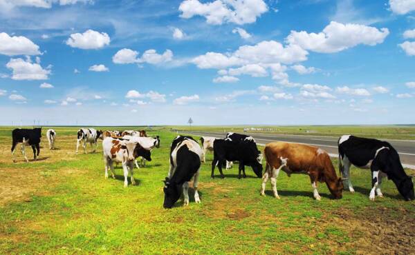 2023082657930169.jpeg 1(1).jpeg