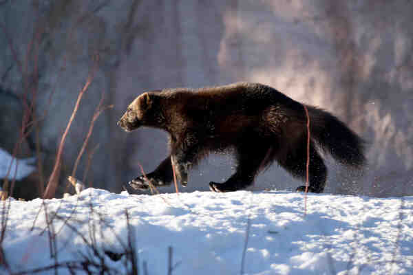 2023082713118705.jpeg 15(1).jpeg