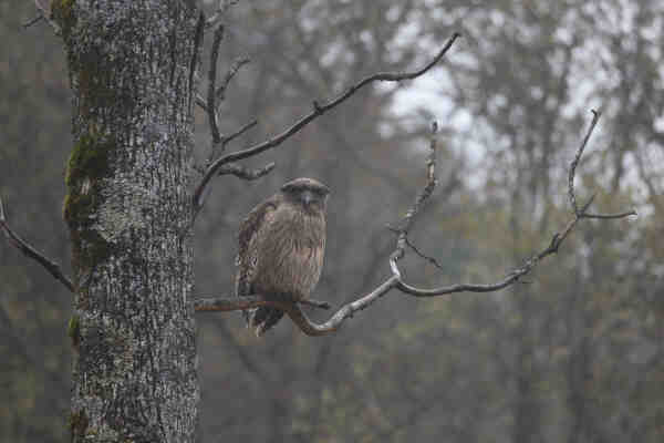 2023082715030639.jpeg 14(1).jpeg