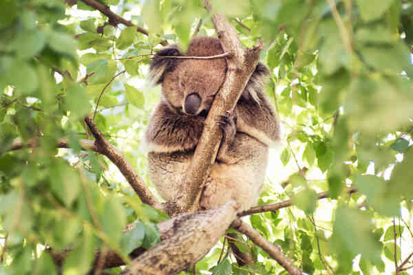 2023082799514035.jpeg 8(1).jpeg