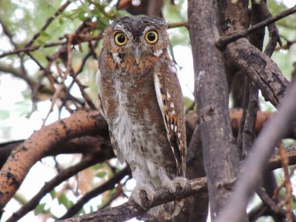 2023082810211328.jpeg 3(1).jpeg