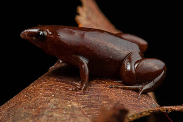 2023083014130133.jpeg 20(1).jpeg