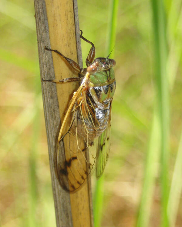 2023083015406695.jpeg 7(1).jpeg