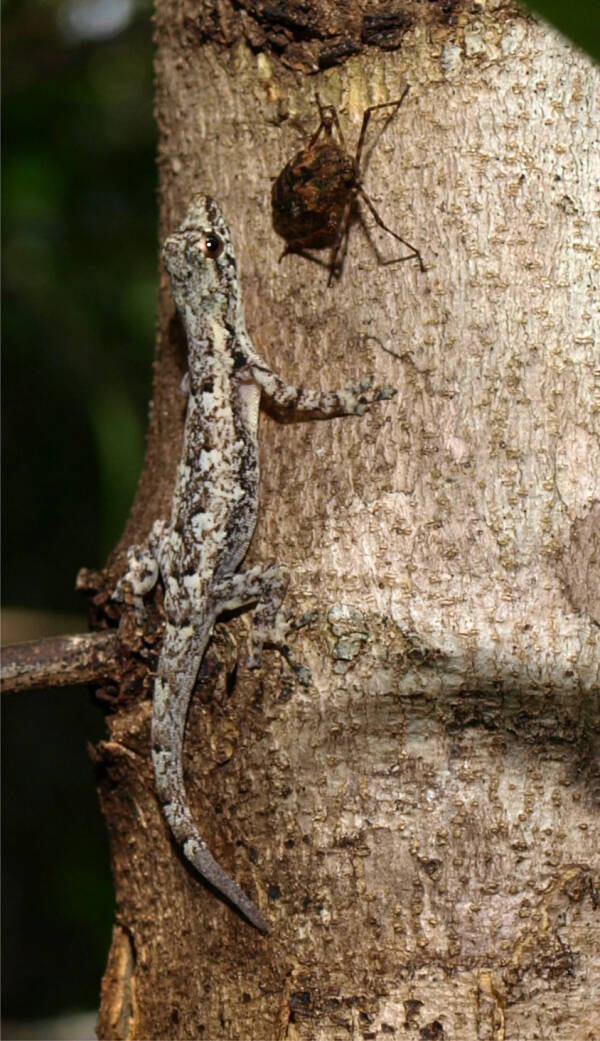 2023083016181633.jpeg 4(1).jpeg