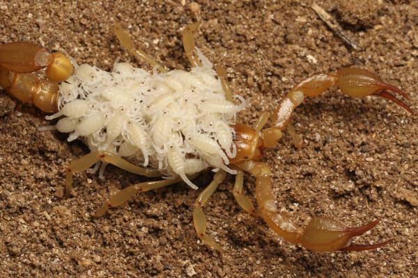 2023083018350757.jpeg 6(1).jpeg