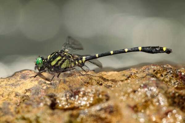 2023083018483840.jpeg 14(1).jpeg