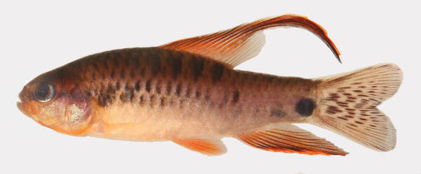 2023083018860489.jpeg 12(1).jpeg