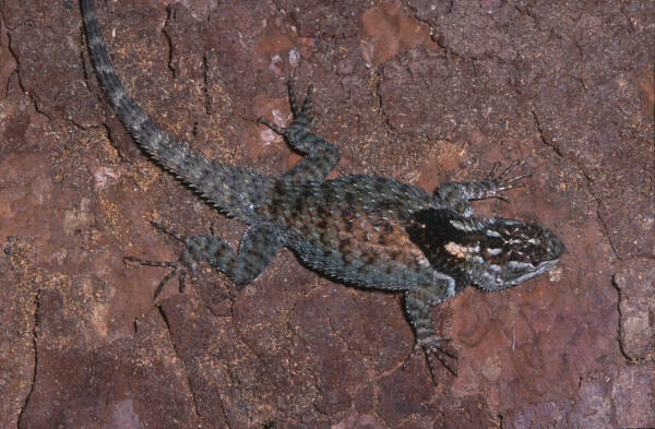 2023083018959415.jpeg 13(1).jpeg