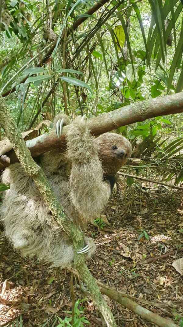 2023083031570168.jpeg 3(1).jpeg