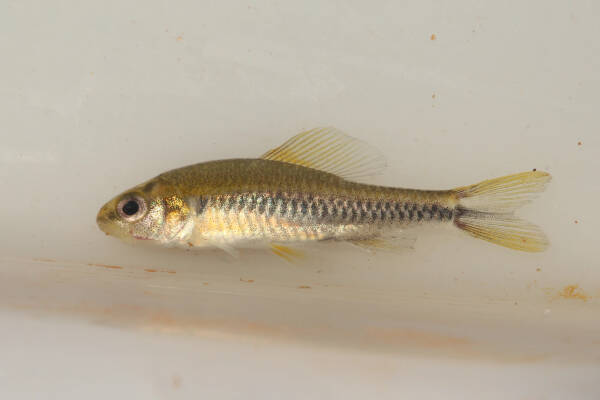 2023083086231821.jpeg 1212(1).jpeg