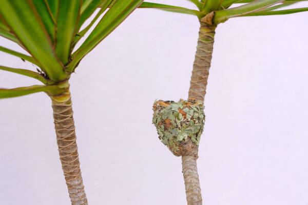 2023090112044469.jpeg 5(1).jpeg