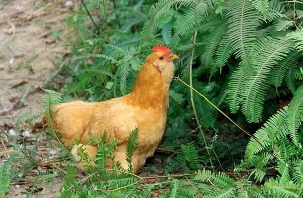 2023090119014818.jpeg 3(1).jpeg