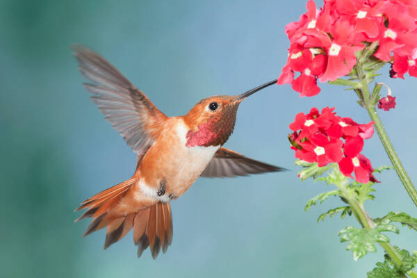 2023090191269707.jpeg 8(1).jpeg