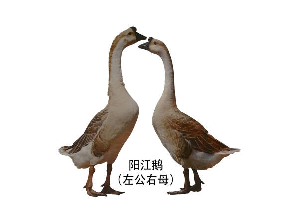 2023090210879530.jpeg 3(1).jpeg