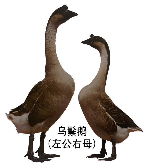 2023090215363575.jpeg 4(1).jpeg