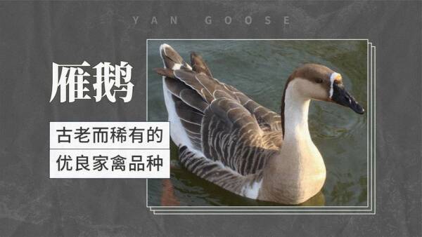 2023090218776581.jpeg 9(1).jpeg