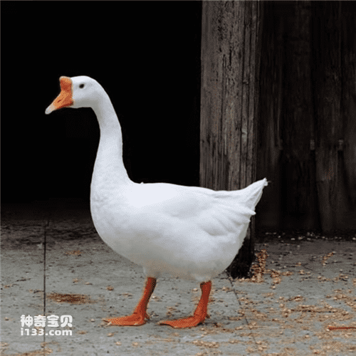 2023090219755620.png 7(1).png